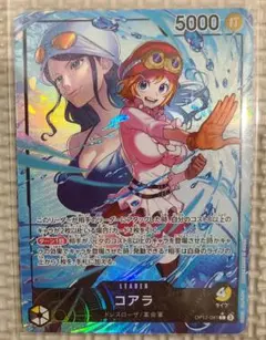 コアラ　リーダー　パラレル