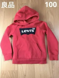 トレーナー　フード付き　裏起毛　100