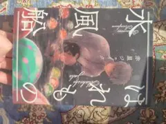 Item thumbnail for item f1e63b76-8f7f-46bc-8375-432b7b846426