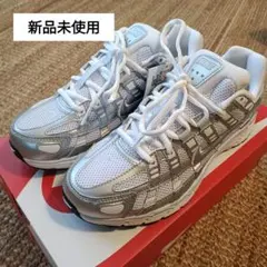 ◆新品未使用◆NIKE P-6000 24.5cm
