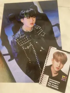 スキズ ODDINARY チャンビン ミニポスタートレカ straykids