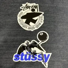 Stussy ステッカー 2枚セットのサムネイル