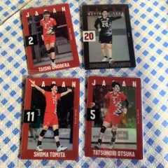 バレーボール 日本代表 トレーディングカードセット