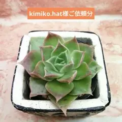 kimiko. hat様 リクエスト 2点 まとめ商品