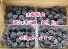 【14時終了】山梨県産　ぶどう　種無し巨峰　2.5キロ+500ｇ＝3キロ