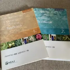 Item thumbnail for item 78e06807-94b2-4ab2-b352-3c3ec75f702e