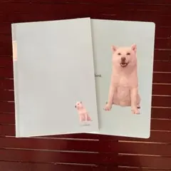 Item thumbnail for item 99cec5d3-5bc9-4dd8-a5e7-65e67361a317