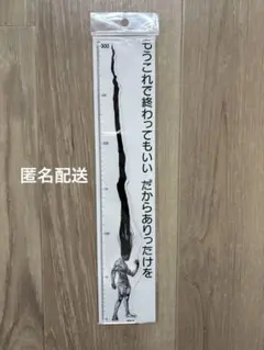【4/26値下】ゴンさんありったけ定規30㎝のサムネイル
