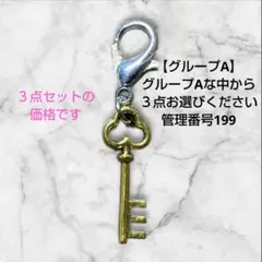 ‼️みーこ様専用‼️ハンドメイド 管理番号199 カスタムチャーム ３点セット