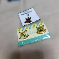 嵐　ライブグッズ