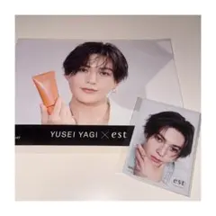 【レア】八木勇征 est フォトカ トレカ フライヤー vol.2 第2弾