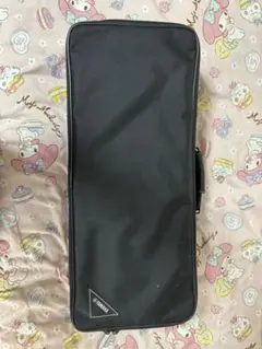 T*N様 ヤナギサワ アルトサックス 純正ケース YANAGISAWA セミハー T*N様 ヤナギサワ アルトサックス 純正ケース YANAGISAWA セミハー