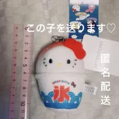平成レトロ激レア♡神奈川新聞 ハローキティ ぬいぐるみ - メルカリ