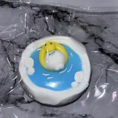 アザラシスクイーズ