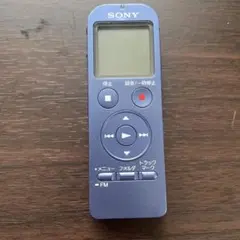 Item thumbnail for item 2f434dd0-be0b-4120-99bd-84e335ad9da5