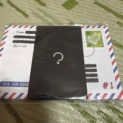 謎解きゲームキット 世界は謎に満ちている ミステリーレターシリーズ vol.1