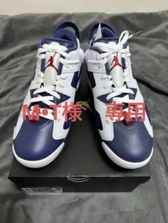 【28.5cm】Air Jordan6 RETRO G