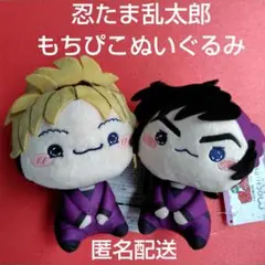 忍たま乱太郎 もちぴこぬいぐるみ　斉藤タカ丸　浜守一郎