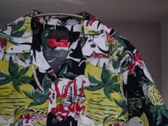 Item thumbnail for item b7dab1df-ed6b-475f-8dba-6f751e294953