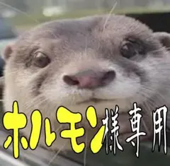 I FEEL GOOD メンズ　大きいサイズ パーカー 秋冬【8XLサイズ】 赤