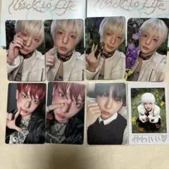 &TEAM Back to Life HARUA トレカ まとめ売り