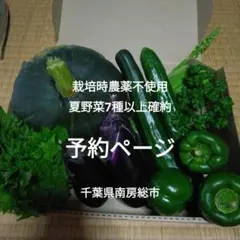 夏野菜セット 栽培時農薬不使用かぼちゃ 茄子 きゅうり ピーマンのサムネイル