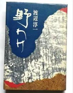 渡辺淳一 野わけ 集英社 780円