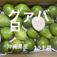 2026年最新】guavaの人気アイテム - メルカリ