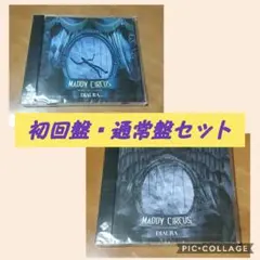 MADDY CIRCUS ( 初回 ・ 通常 セット ) ／ DIAURA