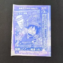 ワンピースカードゲーム モンキー・D・ルフィ P-033 プロモ 付録　1枚