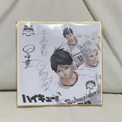 2025年最新】シュヴァイデンアドラーズの人気アイテム - メルカリ