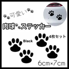 Item thumbnail for item ce666f15-bf06-469a-82d7-7cba9f925b77