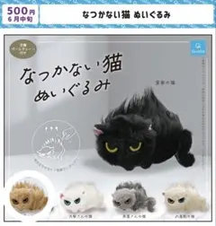なつかない猫 ぬいぐるみ 公園の猫