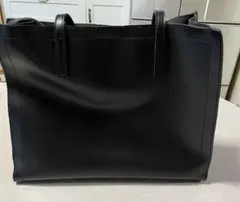 Item thumbnail for item 49f9226e-c133-4a95-9f34-3620e7dc4737