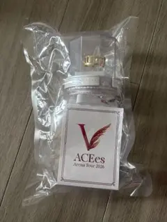 ACEes Arena Tour 2026 V ペンライト - メルカリ