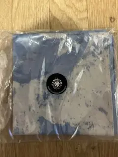 Item thumbnail for item 7a504d19-d32e-417e-bb57-866ebcd3d4ed