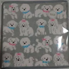 【完売品】フェイラータオルハンカチ