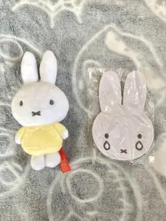 Item thumbnail for item 89f1dd17-3f4c-43db-8c61-0f69a84c2383