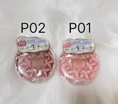 江永様専用P02