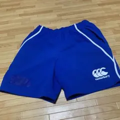 Item thumbnail for item 15bab291-6314-485d-bf72-2447fd37343a