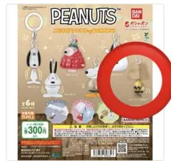 PEANUTS めじるしアクセサリー　チャーリー・ブラウン