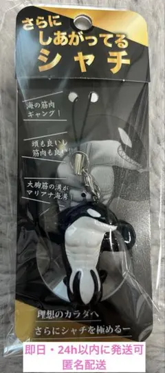 【新品未開封】さらに　しあがってるシャチ　須磨シーワールド　岩本照　即日発送可能