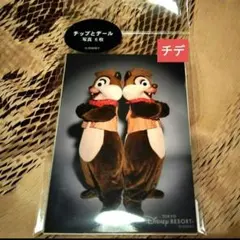 東京ディズニーリゾート　 【チップとデール】セット　ウエスタン　アメフロ 写真