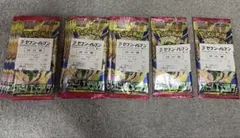 ストームエメラルダ 16パック
