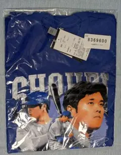 Item thumbnail for item 0e8a0def-8e44-4c63-9e35-d2574511fe13