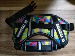 犬用ハーネス　カラフル