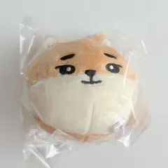 DAY6 The DECADE ぬいぐるみ ヘアピン 新品未開封 ヨンケイ KE - メルカリ