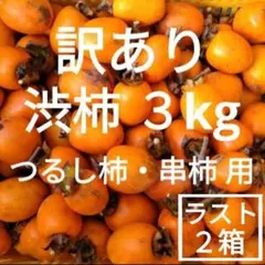 c 訳あり 和歌山県産 渋柿 つるし柿 ・ 串柿 用 ３kg (正味重量)