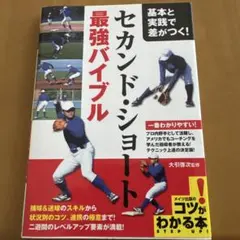 Item thumbnail for item 09ca4090-0567-4bed-826d-5095d52057df