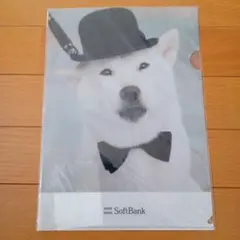 SoftBank お父さんクリアファイル (ver.3)